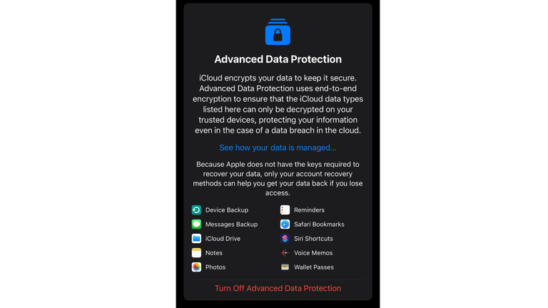 Apple ordered by UK government to let it access users' encrypted files - reports