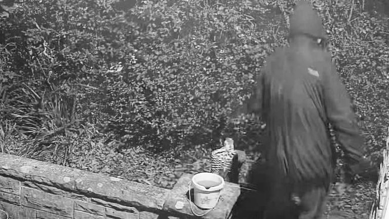 Burglar who triggered 'Home Alone-style trap' is jailed