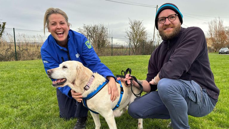 Couple reunited with dog seven years after it was stolen