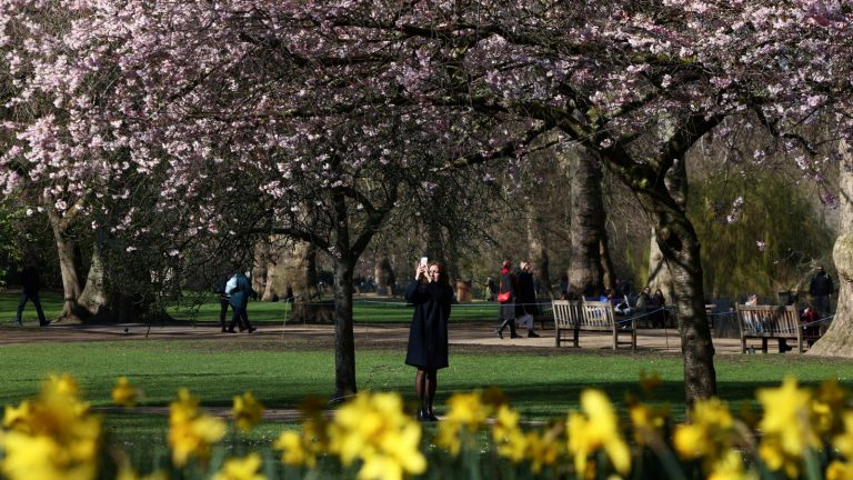 Temperatures could hit 14C this week after fortnight of 'anticyclonic gloom'