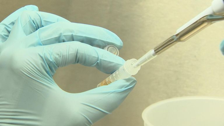 Tens of thousands of birds culled at poultry farm after suspected bird flu case