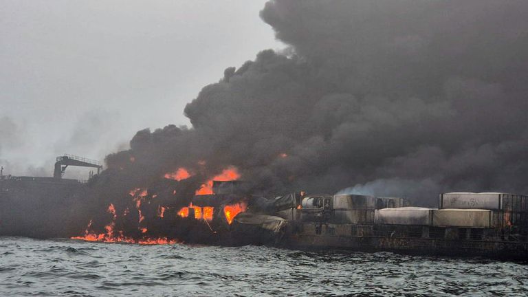 Jet fuel and sodium cyanide: How ship crash could have lethal consequences for wildlife Jet fuel and sodium cyanide: How ship crash could have lethal consequences for wildlife