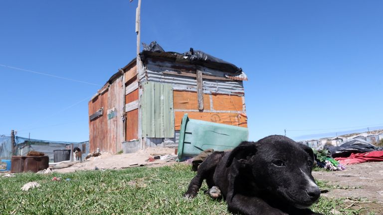 Six-year-old Joshlin Smith's Middelpos informal settlement home, where she disappeared in Saldanha
Pic: Reuters
