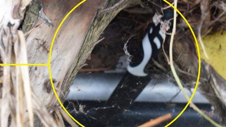 The dumped murder weapon on Cedar Road.
Pic: Met Police