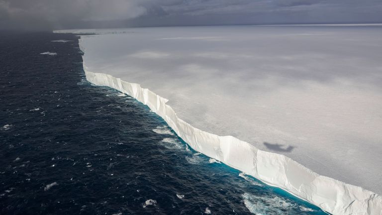 The waters once ran red with whale blood - now this island is a conservation success story