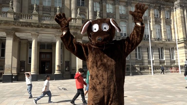 &#39;Selly oak rat&#39; questions council 