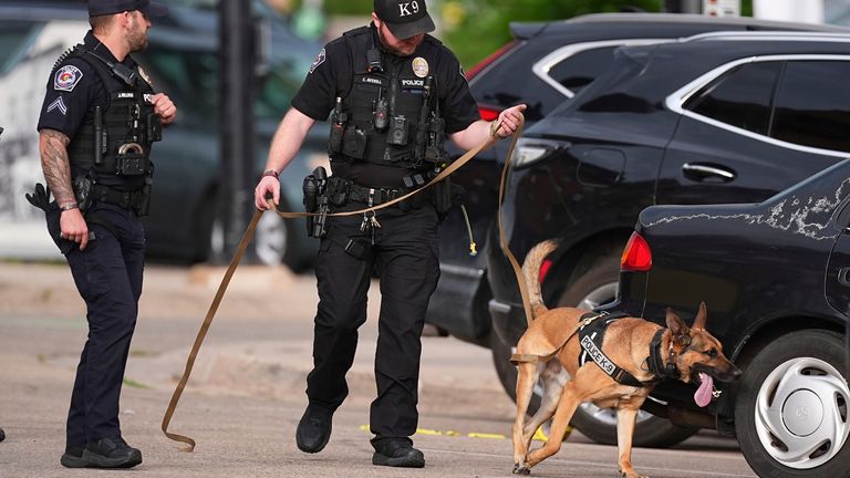 Police lead a sniffer dog around cars. Pic: AP